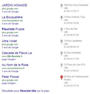 Visuel Optimiser sa page google adresse - 2